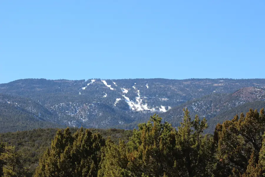 20 Canon Escondido, Sandia Park, NM 87047 - Image #3