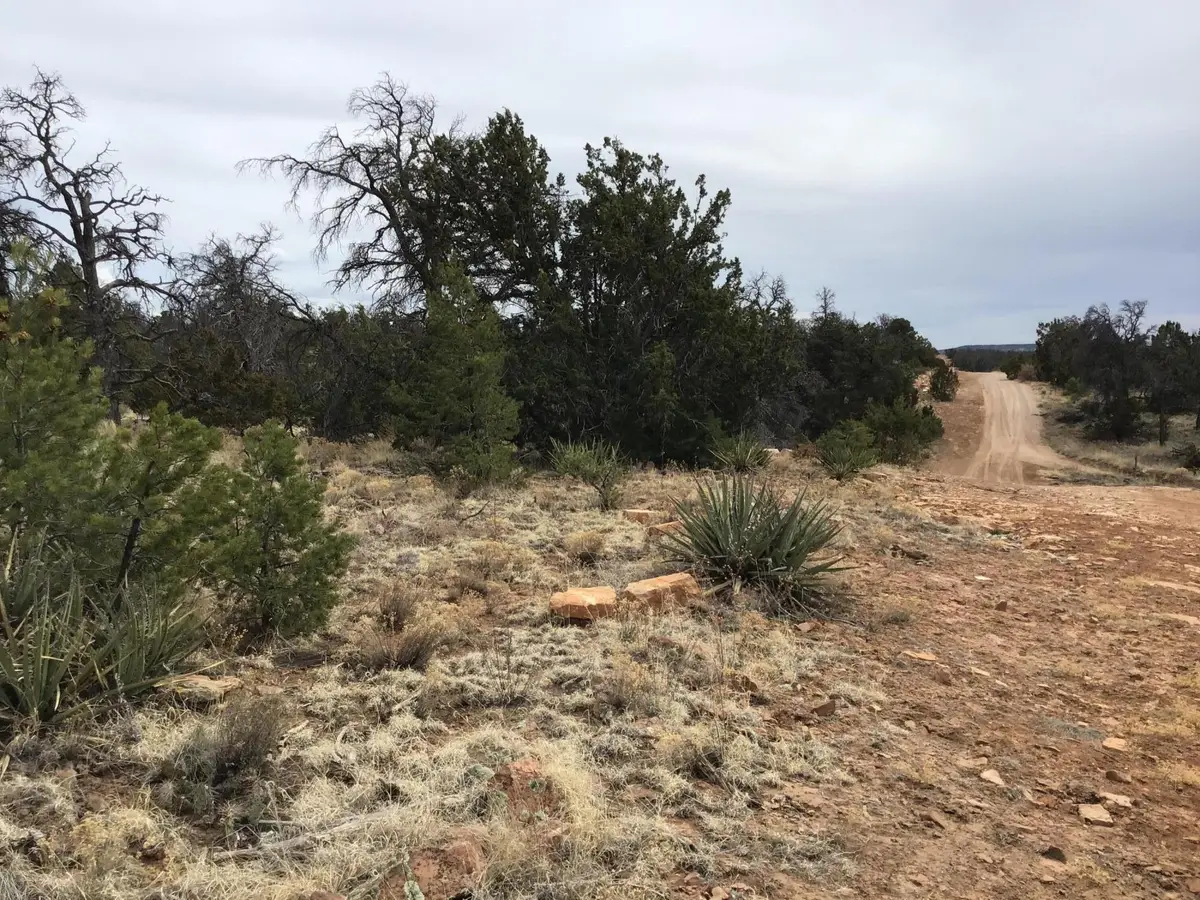 Lot 585 Betty Lane, Ramah, NM 87321 - Image #1