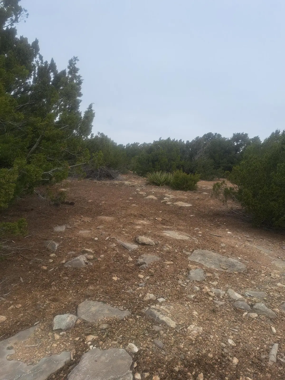 73 Highview Lane, Edgewood, NM 87015 - Image #1