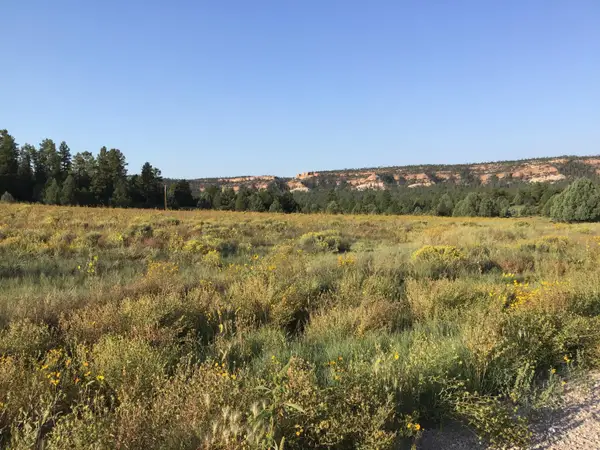 Lot 14 E Elk Drive, Ramah, NM 87321