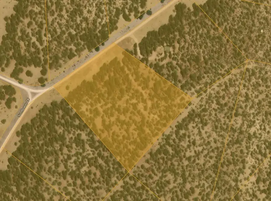 Lot 23 Sunflower Drive, Ramah, NM 87321 - Image #2