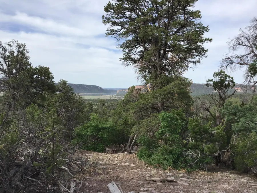 Lot 23 Sunflower Drive, Ramah, NM 87321 - Image #3