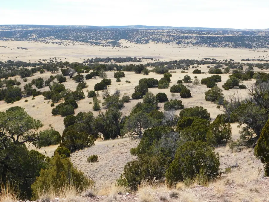 274 Deer Circle, Quemado, NM 87829 - Image #2