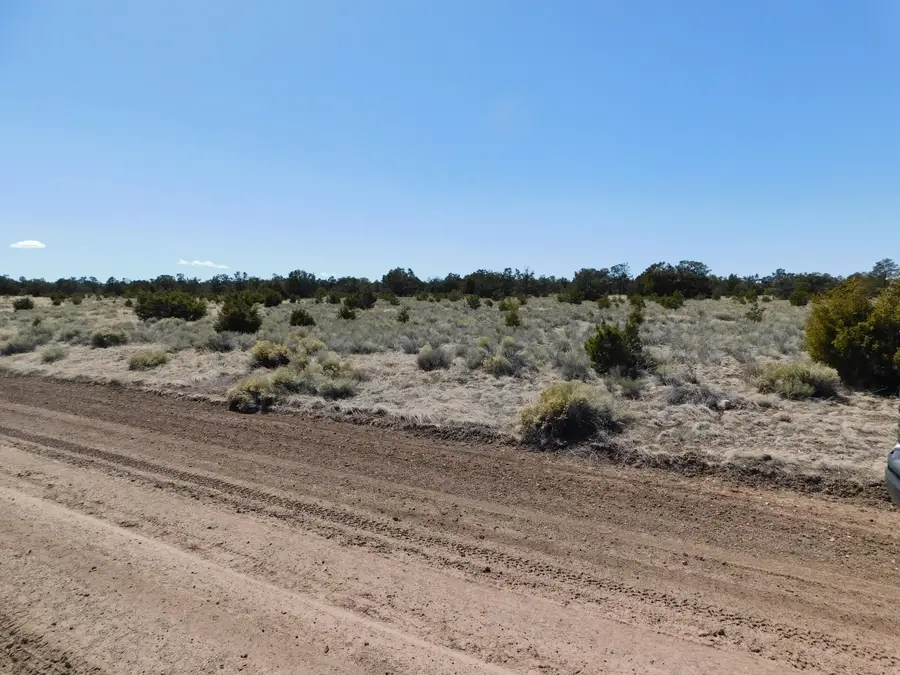 Lot 81 Artesian Avenue, Quemado, NM 87829 - Image #3