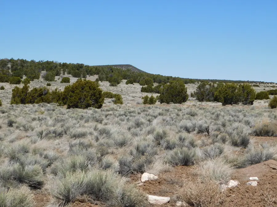 Lot 67 Bronco Boulevard, Quemado, NM 87829 - Image #3
