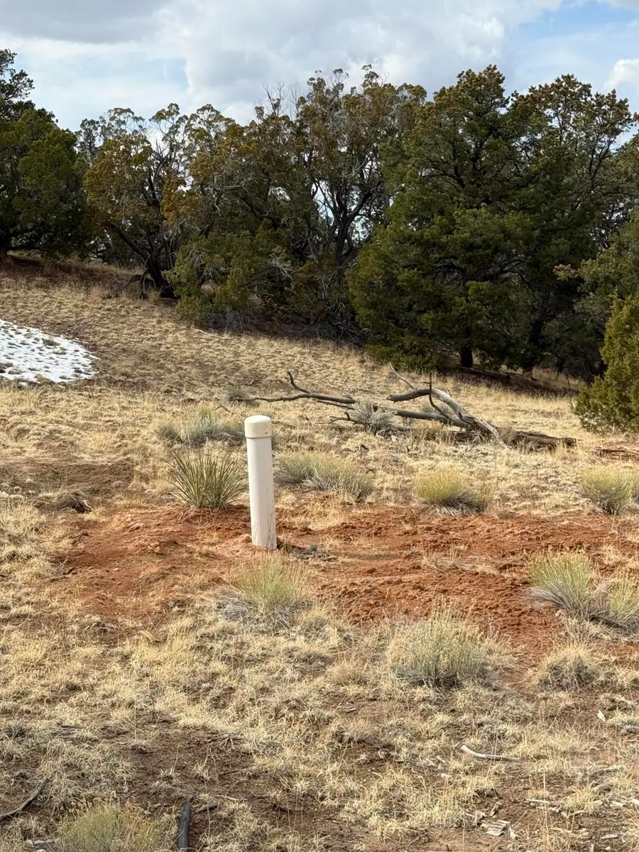 319 Hwy 603, Pie Town, NM 87827 - Image #3