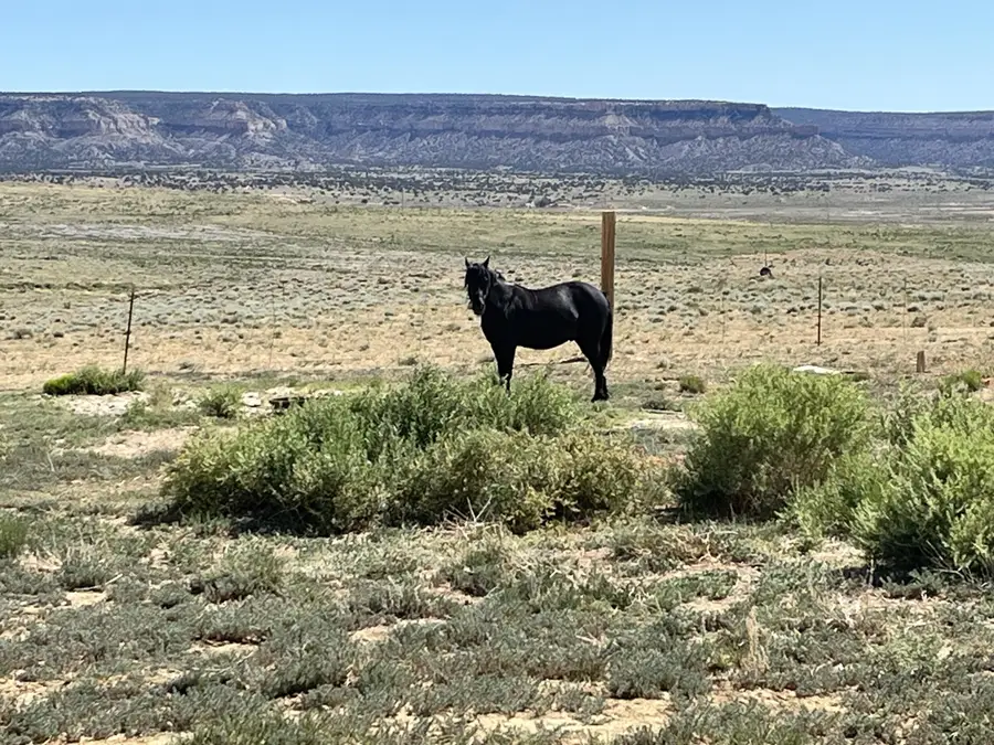 3191 W Rte 9, Crownpoint, NM 87313 - #2