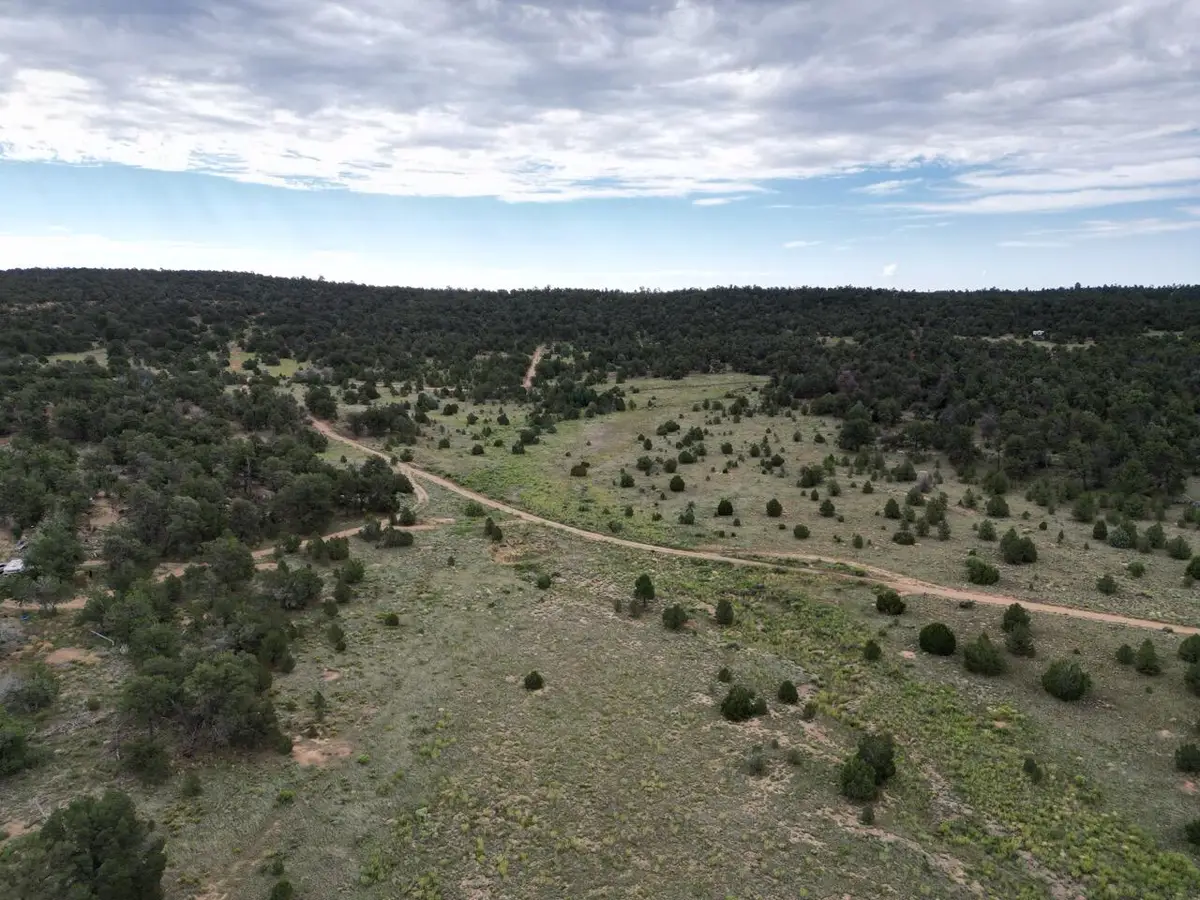 Lot 14 Candy Kitchen Road, Ramah, NM 87321 - Image #1