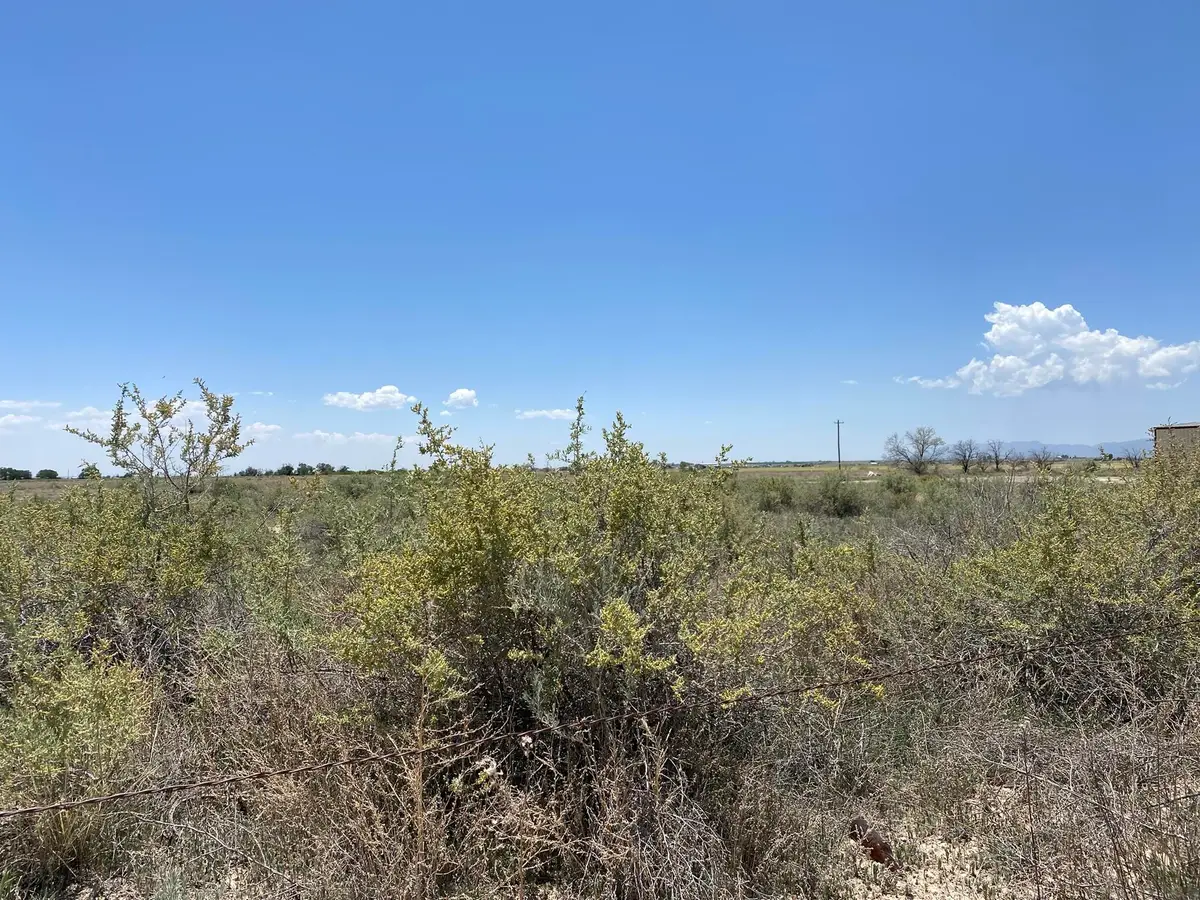 Clements Rd & Andrew Rd Road, Estancia, NM 87016 - Image #1