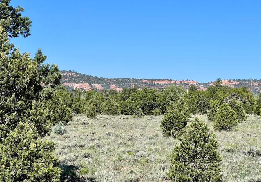 Lot 15 Buttonwood Drive, Ramah, NM 87321 - Image #2