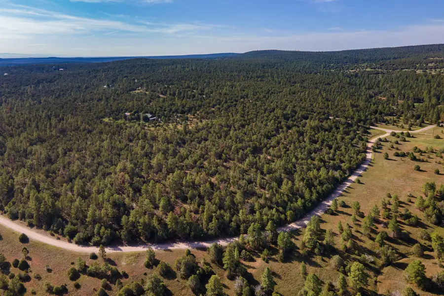 10 Young Road, Tijeras, NM 87059 - Image #2