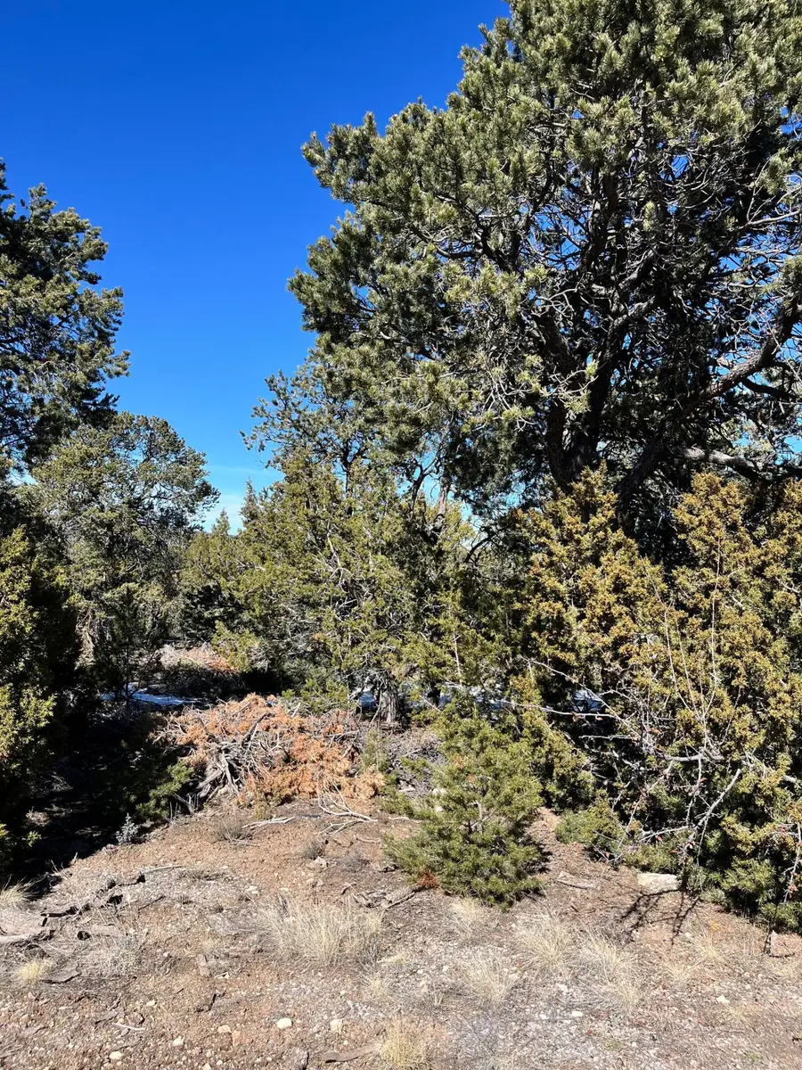 Glorieta, Glorieta, NM 87535 - Image #2