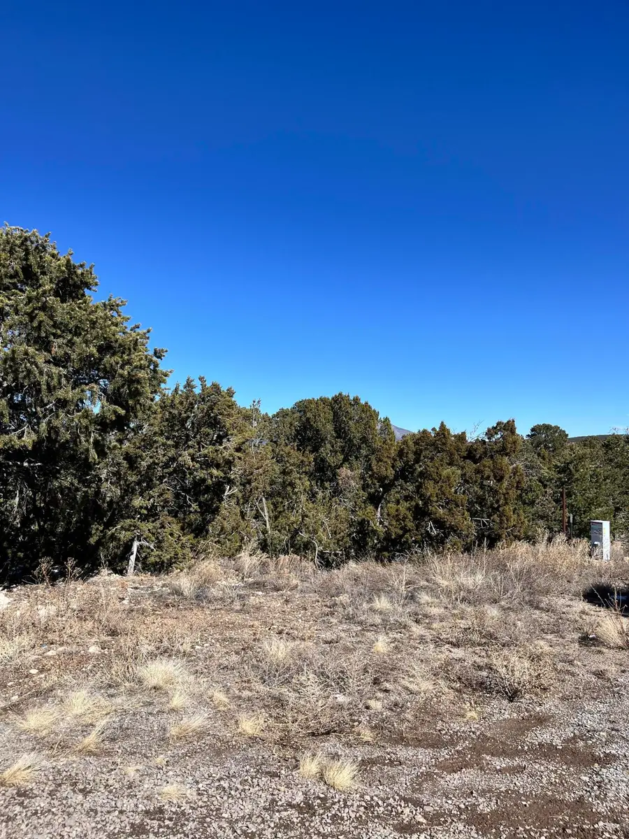 Glorieta, Glorieta, NM 87535 - Image #3