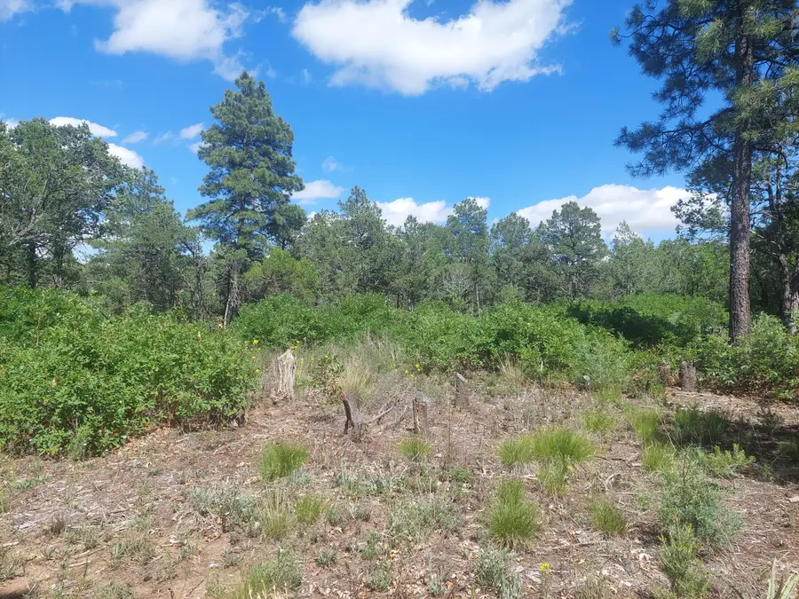 16 Secret Pines Court, Tijeras, NM 87059 - Image #3