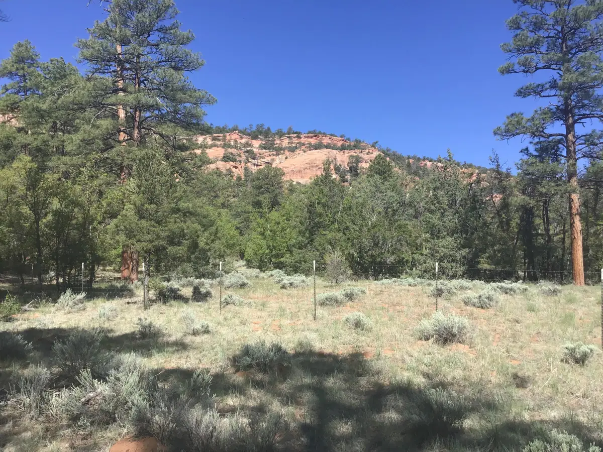 Lot 33 Aspen Loop, Ramah, NM 87321 - Image #1