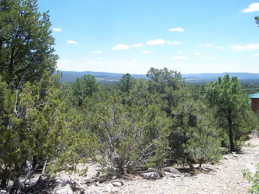 County Rd B-52, Pecos, NM 87552 - Image #2