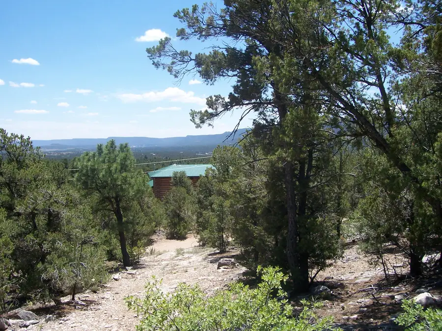 County Rd B-52, Pecos, NM 87552 - Image #3