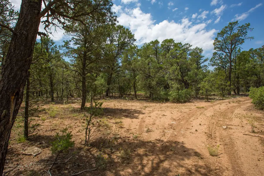 70 Anaya Road, Tijeras, NM 87059 - Image #3