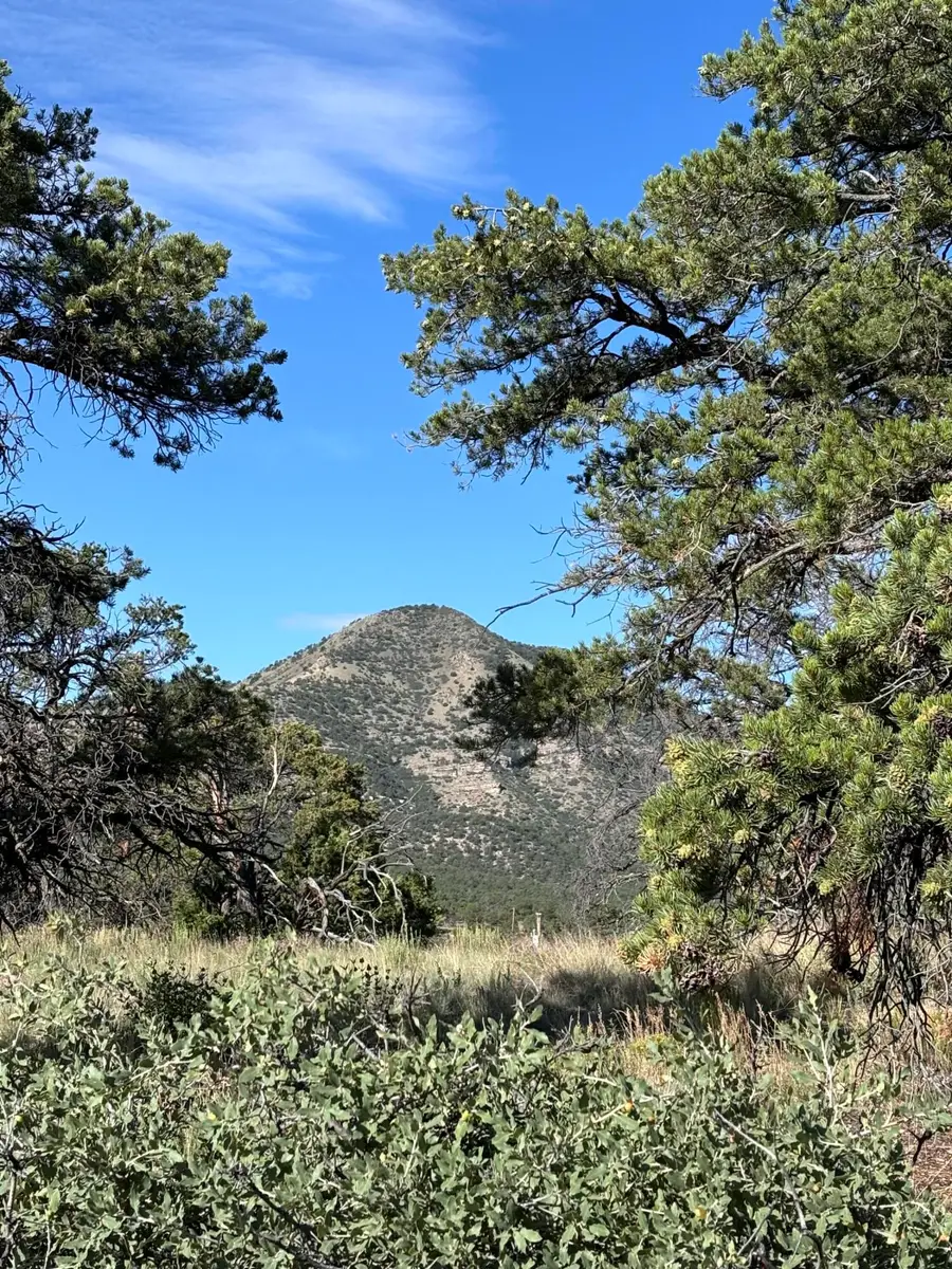 34 Lookout Circle, Datil, NM 87821 - Image #3