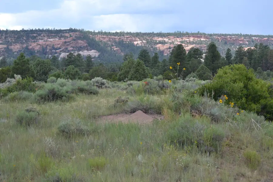 Timberlake Ranch, Ramah, NM 87321 - Image #2