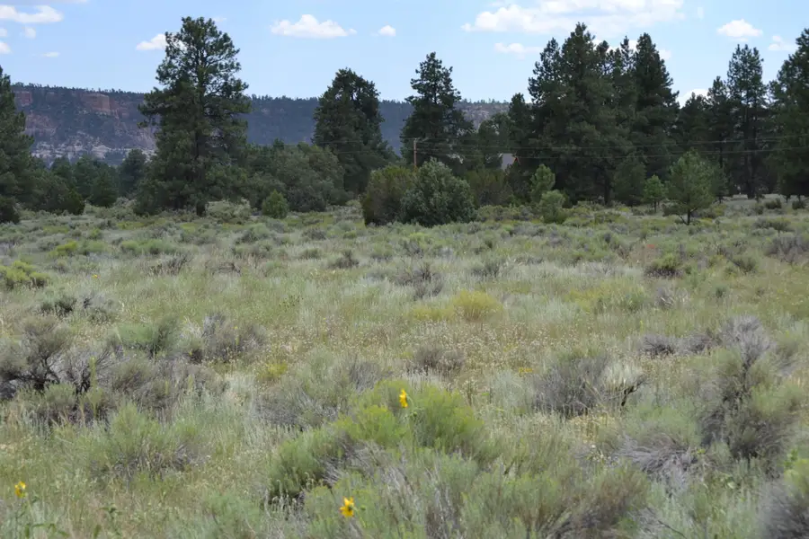 Timberlake Ranch, Ramah, NM 87321 - Image #3