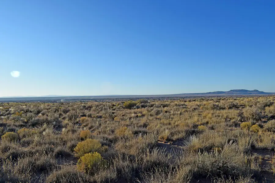 Lot 4 Rio Del Oro #61, Los Lunas, NM 87031 - Image #2