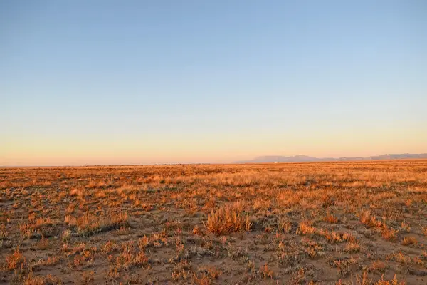 Lot 36-40 Rio Del Oro #3, Los Lunas, NM 87031