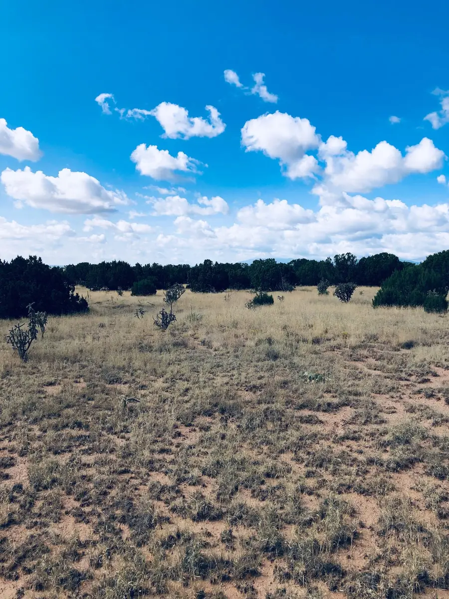 Mission Hills Lot 10, Estancia, NM 87016 - Image #3