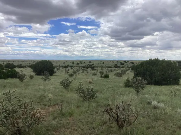 Mission Hills Rd Tract E, Estancia, NM 87016