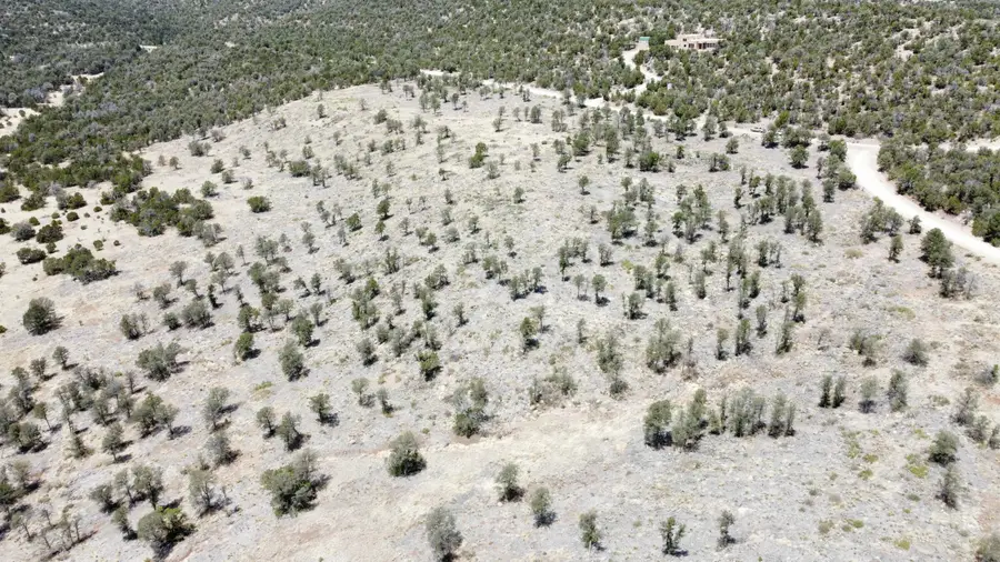 Twin Peaks Court Lot 16, Estancia, NM 87016 - Image #2