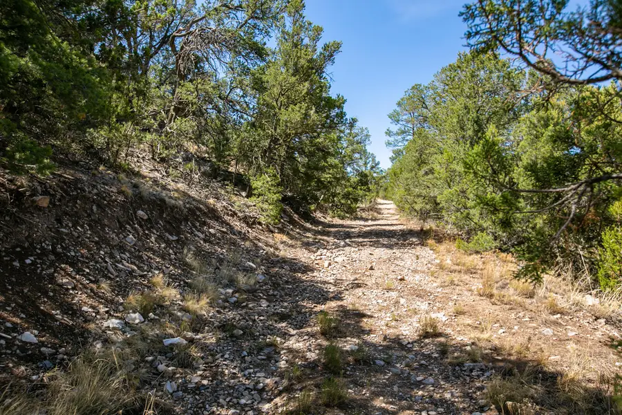 00 La Vista Grande, Sandia Park, NM 87047 - Image #3