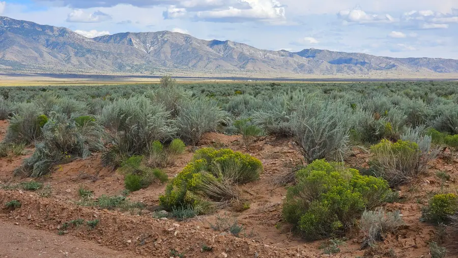 VL Lot: 31 Block: 50 #2, Rio Communities, NM 87002 - Image #2