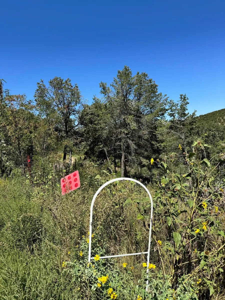 54 Gilbert Place, Sandia Park, NM 87047 - Image #2