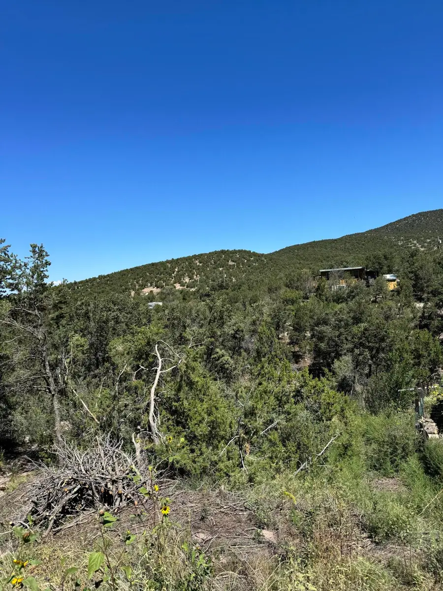 54 Gilbert Place, Sandia Park, NM 87047 - Image #3