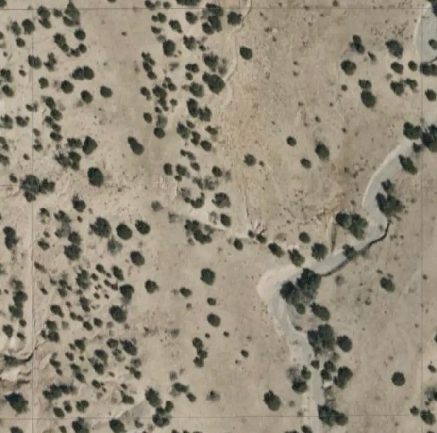 0 Wild Onion Road, Medanales, NM 87548 - Image #2