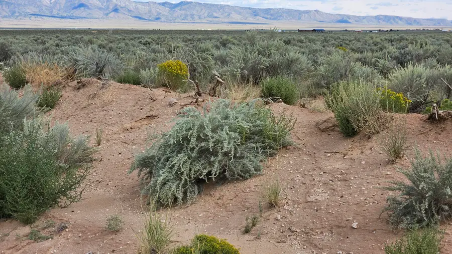 VL Lot 9 Block 375 #17, Belen, NM 87002 - Image #2