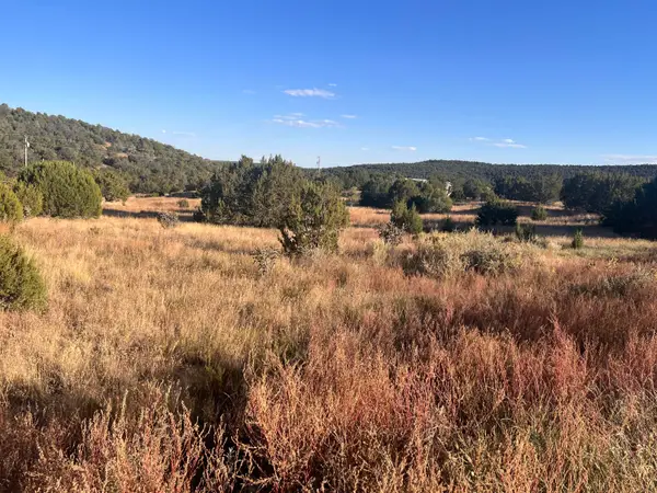 Tarn Road, Edgewood, NM 87015