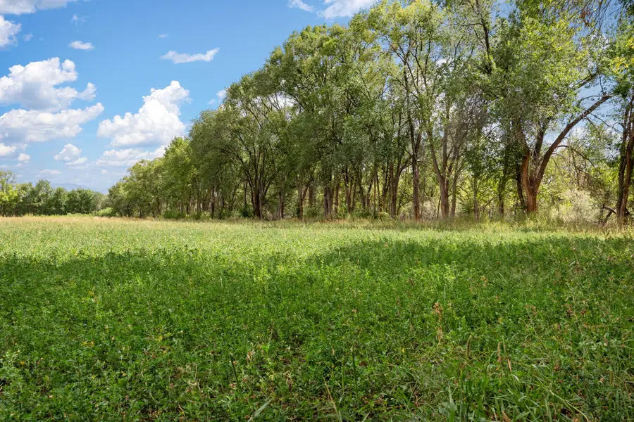 0 Wallace Lane, Corrales, NM 87048 - Image #3
