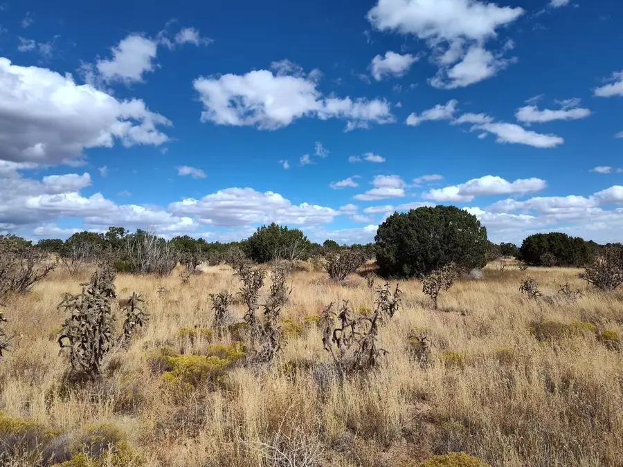 Golf Course Road, Mountainair, NM 87036 - Image #2