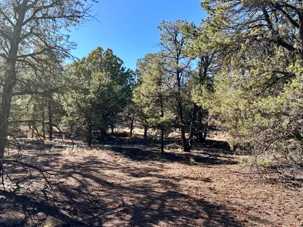 Lot 163 Windmill Drive, Datil, NM 87821