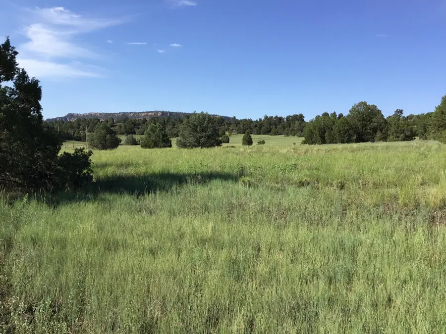 Lot 44 Sunflower Drive, Ramah, NM 87321 - Image #3