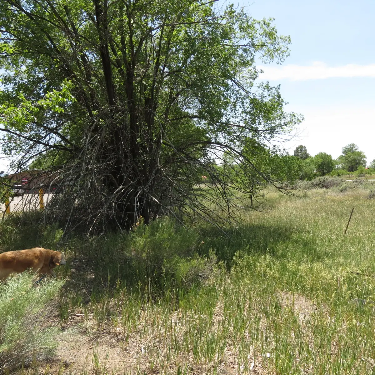 550 & Church Rd, Cuba, NM 87013 - Image #1
