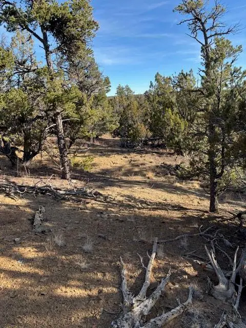 Rocky Knoll Ln Unit 92 Lot 228, Cubero, NM 87014 - Image #1