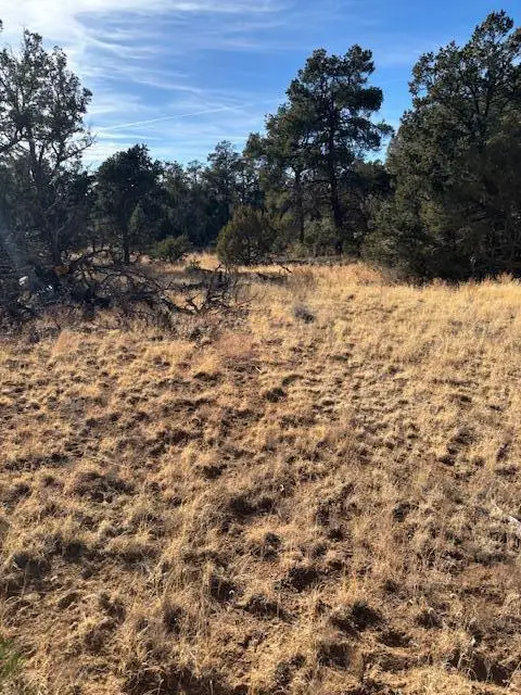 Rocky Knoll Ln Unit 92 Lot 228, Cubero, NM 87014 - Image #3