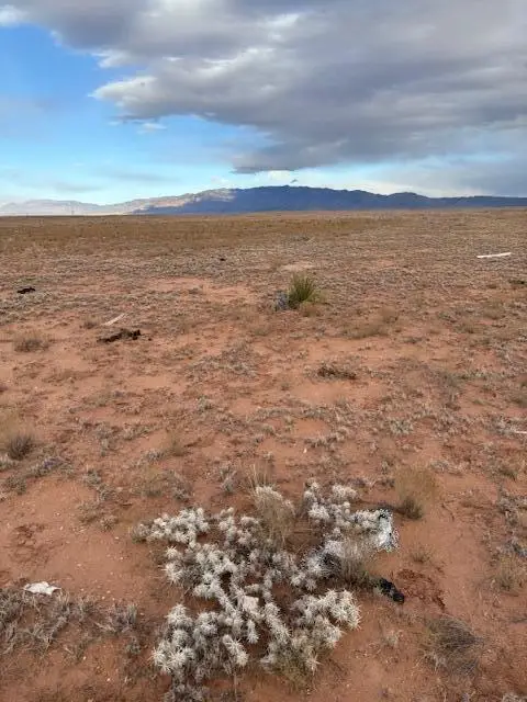 Teresa Ave Lot: 18 Block 445, Veguita, NM 87062