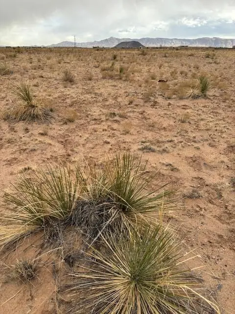 Aguilar Ave Lot: 11 Block:1002, Veguita, NM 87062 - Image #1