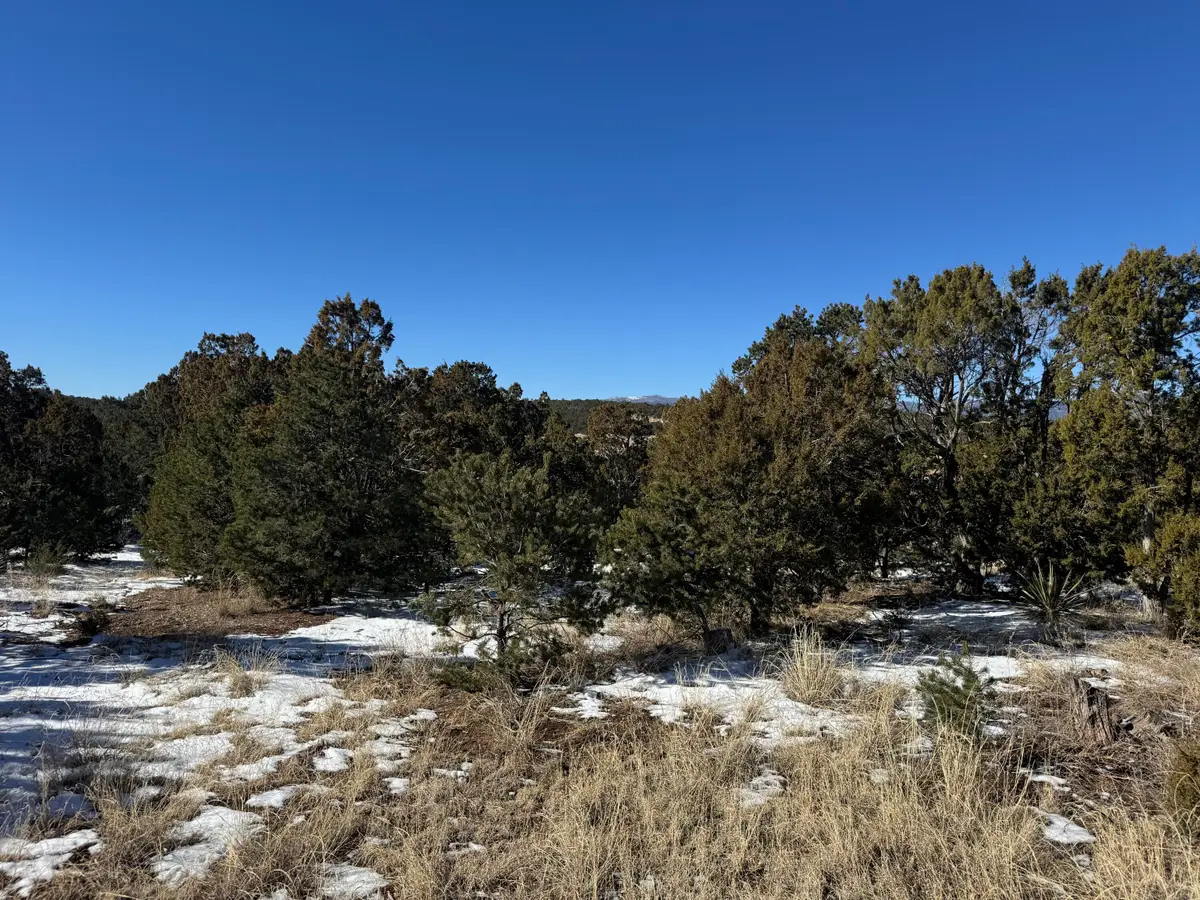21 Punch Court, Tijeras, NM 87059 - Image #1