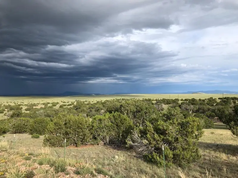 52 & 62 Wildflower Trail, Quemado, NM 87829 - Image #3