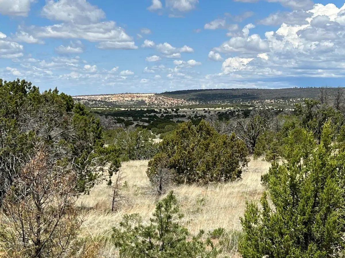 Lot 306 Edgewood Drive, Ramah, NM 87321 - Image #1