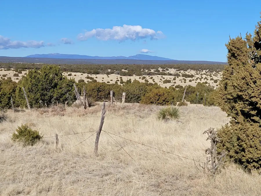 43 Bullock Road, Moriarty, NM 87035 - Image #2